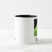 Senegal-Papagei lässt dieses Haus laufen Tasse (Zentrum)