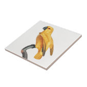 Senegal Parrot Fliese (Seite)