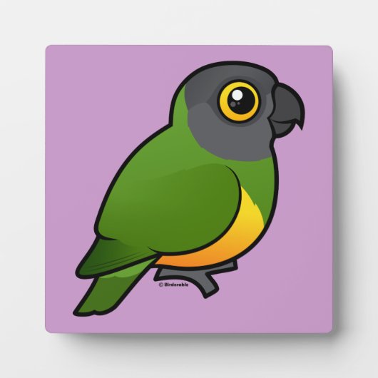 Senegal Parrot Fotoplatte (Vorderseite)