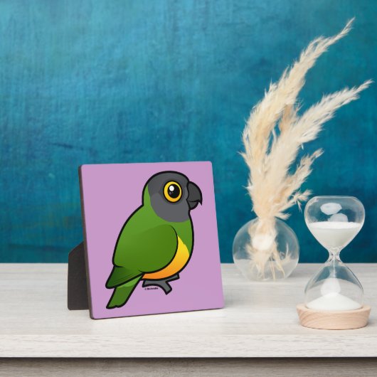 Senegal Parrot Fotoplatte (InSitu)