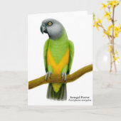 Senegal Parrot Grußkarte Karte (Gelbe Blume)