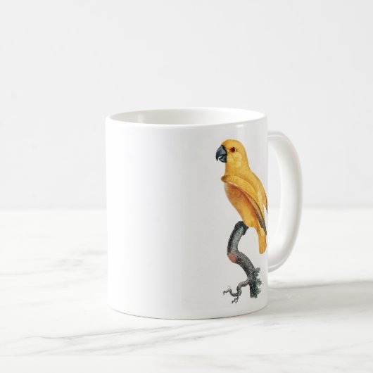 Senegal Parrot Kaffeetasse (VorderseiteRechts)