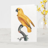 Senegal Parrot Karte (Gelbe Blume)
