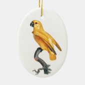 Senegal Parrot Keramik Ornament (Hinten)