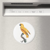 Senegal Parrot Magnet (In Situ (Geschirrspüler))