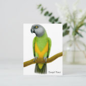 Senegal Parrot Postcard Postkarte (Stehend Vorderseite)