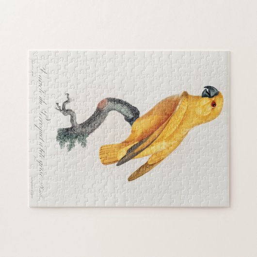 Senegal Parrot Puzzle (Horizontal)