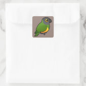 Senegal Parrot Quadratischer Aufkleber (Tasche)