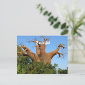 Senegal Postkarte (Stehend Vorderseite)