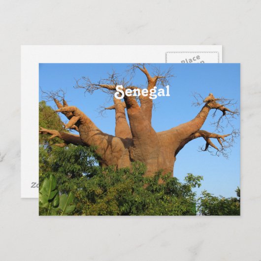 Senegal Postkarte (Vorne/Hinten)