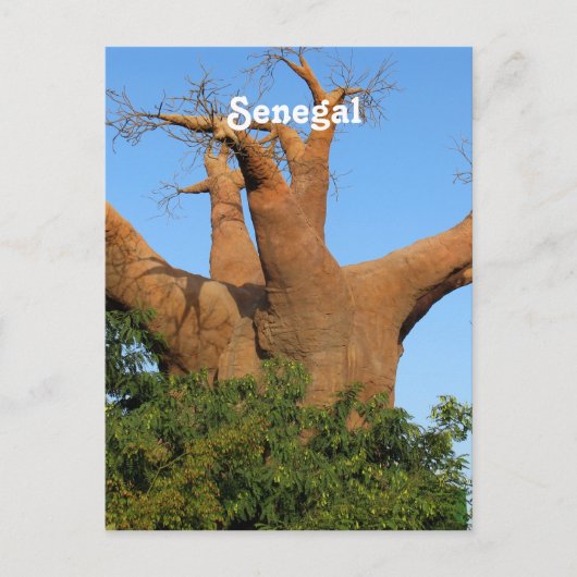 Senegal Postkarte (Vorderseite)