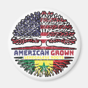 Senegal Senegalese USA USA Vereinigte Staaten Magnet