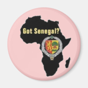 SENEGAL/SENEGALESISCHER FLAGGEN-T - SHIRT UND USW. MAGNET