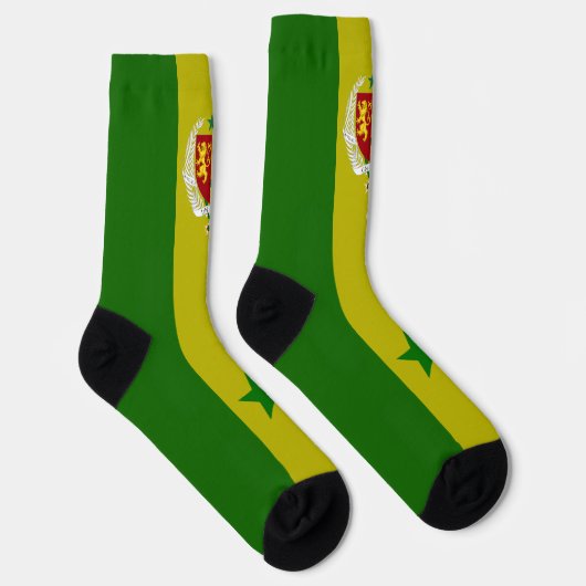 Senegal-Wappen Socken (Rechts)