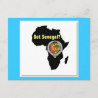 SENEGALER/SENEGALESISCHER FLAGGENFLAGGE T - SHIRT 