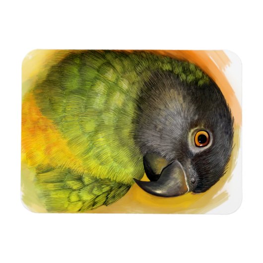Senegalesischer Papagei Magnet (Horizontal)