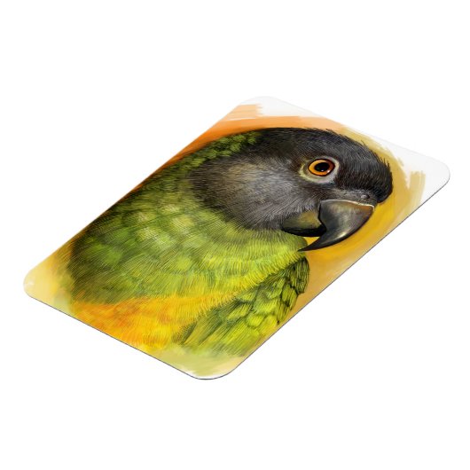 Senegalesischer Papagei Magnet (Linke Seite)