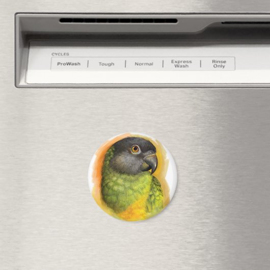 Senegalesischer Papagei Magnet (In Situ (Geschirrspüler))