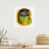 Senegalesischer Papagei Poster (Küche)