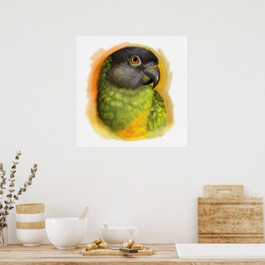 Senegalesischer Papagei Poster (Küche)