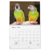 Senegals 2009 Kalender - besonders angefertigt (Feb 2027)