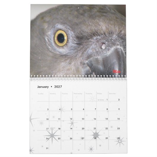 Senegals 2009 Kalender - besonders angefertigt (Jan 2027)