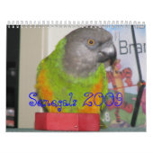 Senegals 2009 Kalender - besonders angefertigt (Titelbild)