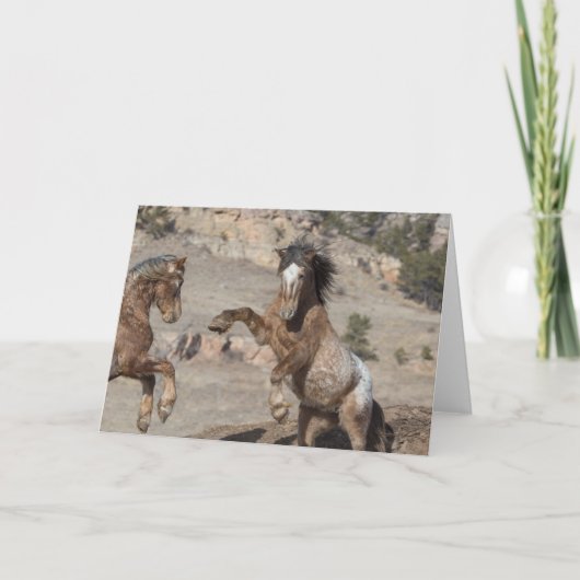 Senf-Sparring: Galloping für Freie Gruß Karte (Vorderseite)
