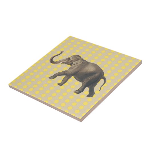 Senf Spice Stimmungen Punkte mit Elefant Fliese (Seite)