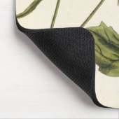Senf, überziehen 446 von "einem neugierigen mousepad (Ecke)