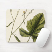 Senf, überziehen 446 von "einem neugierigen mousepad (Mit Mouse)