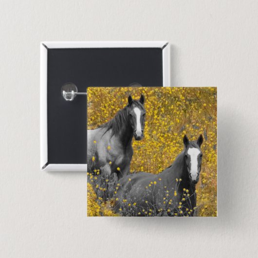 Senf und Pferde Button (Vorne & Hinten)