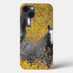 Senf und Pferde Case-Mate iPhone Hülle