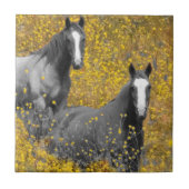 Senf und Pferde Fliese (Vorderseite)