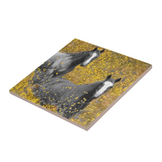 Senf und Pferde Fliese (Seite)