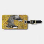 Senf und Pferde Gepäckanhänger (Vorderseite horizontal)