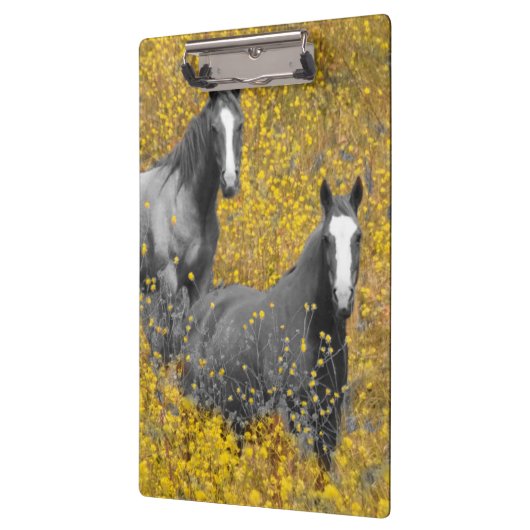 Senf und Pferde Klemmbrett (Links)