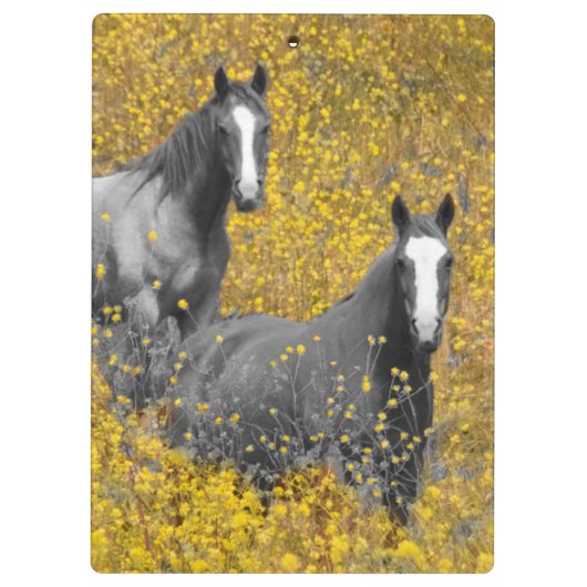 Senf und Pferde Klemmbrett (Rückseite)