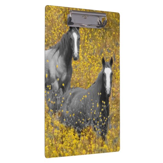 Senf und Pferde Klemmbrett (Rechts)