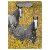 Senf und Pferde Klemmbrett (Vorderseite)