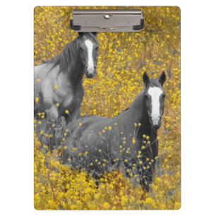 Senf und Pferde Klemmbrett