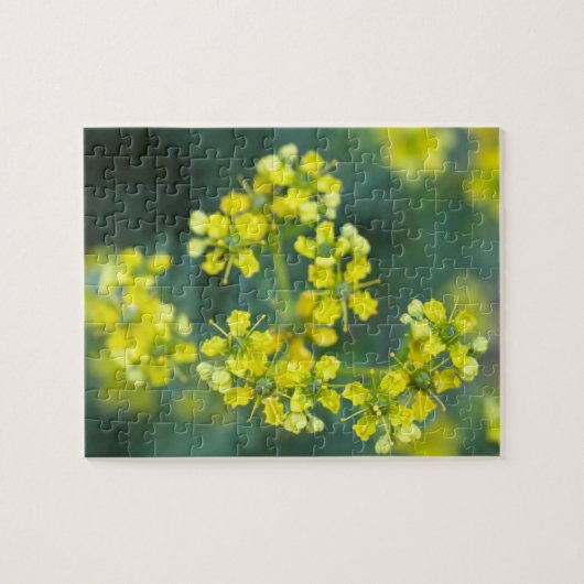 Senfblumen, Puzzle, 20x25 cm, 110 Teile Puzzle (Horizontal)