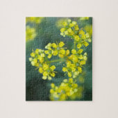 Senfblumen, Puzzle, 20x25 cm, 110 Teile Puzzle (Vertikal)