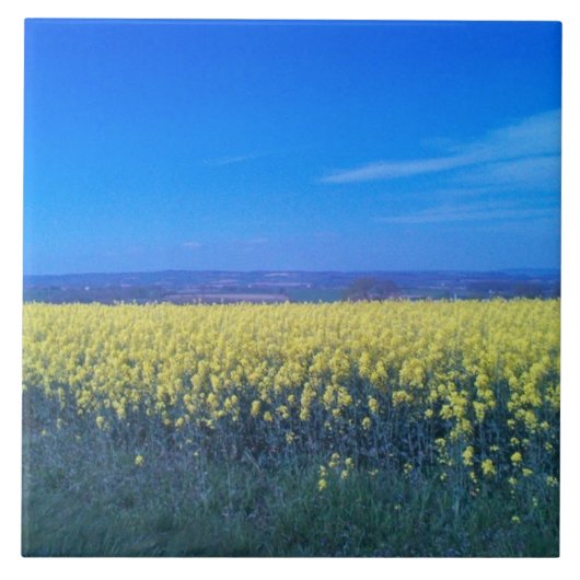 Senffelder Keramik Tile 6" x 6" Fliese (Vorderseite)