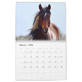 Senfkalander-Kalender 2020 Kalender (Feb 2026)