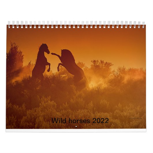 Senfkalander-Kalender 2020 Kalender (Titelbild)