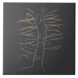 Senfkörner-Schoten auf einer Keramikfliese - A