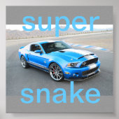 Senfposter Poster (Vorne)