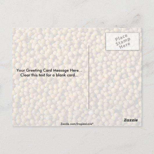 Senfsamen Postkarte (Rückseite)