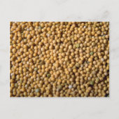 Senfsamen Postkarte (Vorderseite)